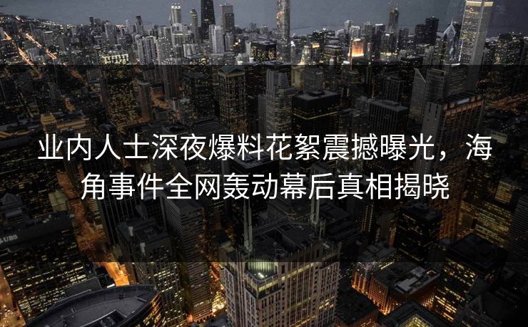 业内人士深夜爆料花絮震撼曝光，海角事件全网轰动幕后真相揭晓