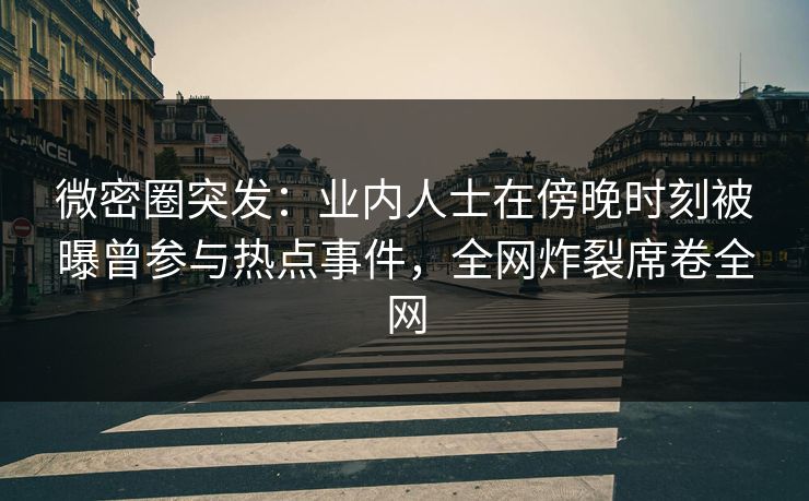 微密圈突发：业内人士在傍晚时刻被曝曾参与热点事件，全网炸裂席卷全网