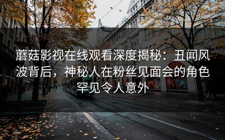 蘑菇影视在线观看深度揭秘：丑闻风波背后，神秘人在粉丝见面会的角色罕见令人意外
