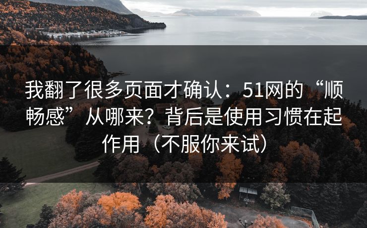我翻了很多页面才确认：51网的“顺畅感”从哪来？背后是使用习惯在起作用（不服你来试）